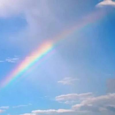 2023年香港资料精准