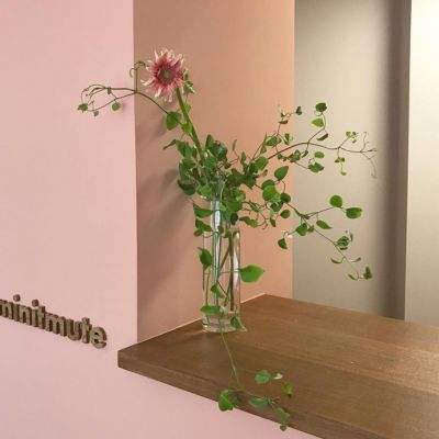 365平台手机app下载截图